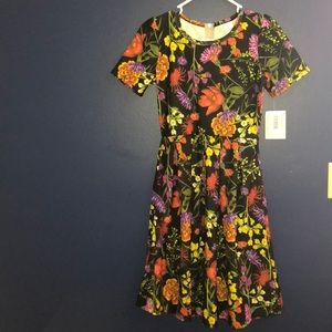 LulaRoe Amelia